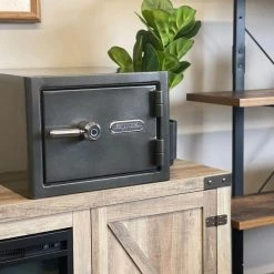 Platinum Small Fireproof/Waterproof Home and Office Biometric Safe by SANCTUARY 19 Platinum Small Fireproof/Waterproof Home and Office Biometric Safe by SANCTUARY -Toolocity Shop sanctuary home safes sa plat1 bio dp 31 1000