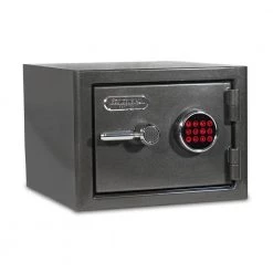 Platinum Small Fireproof/Waterproof Home and Office Digital Lock Safe by SANCTUARY