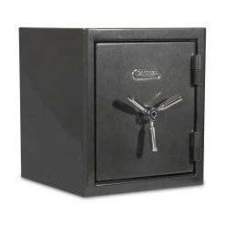 Platinum Medium Fireproof/Waterproof Home and Office Biometric Safe by SANCTUARY