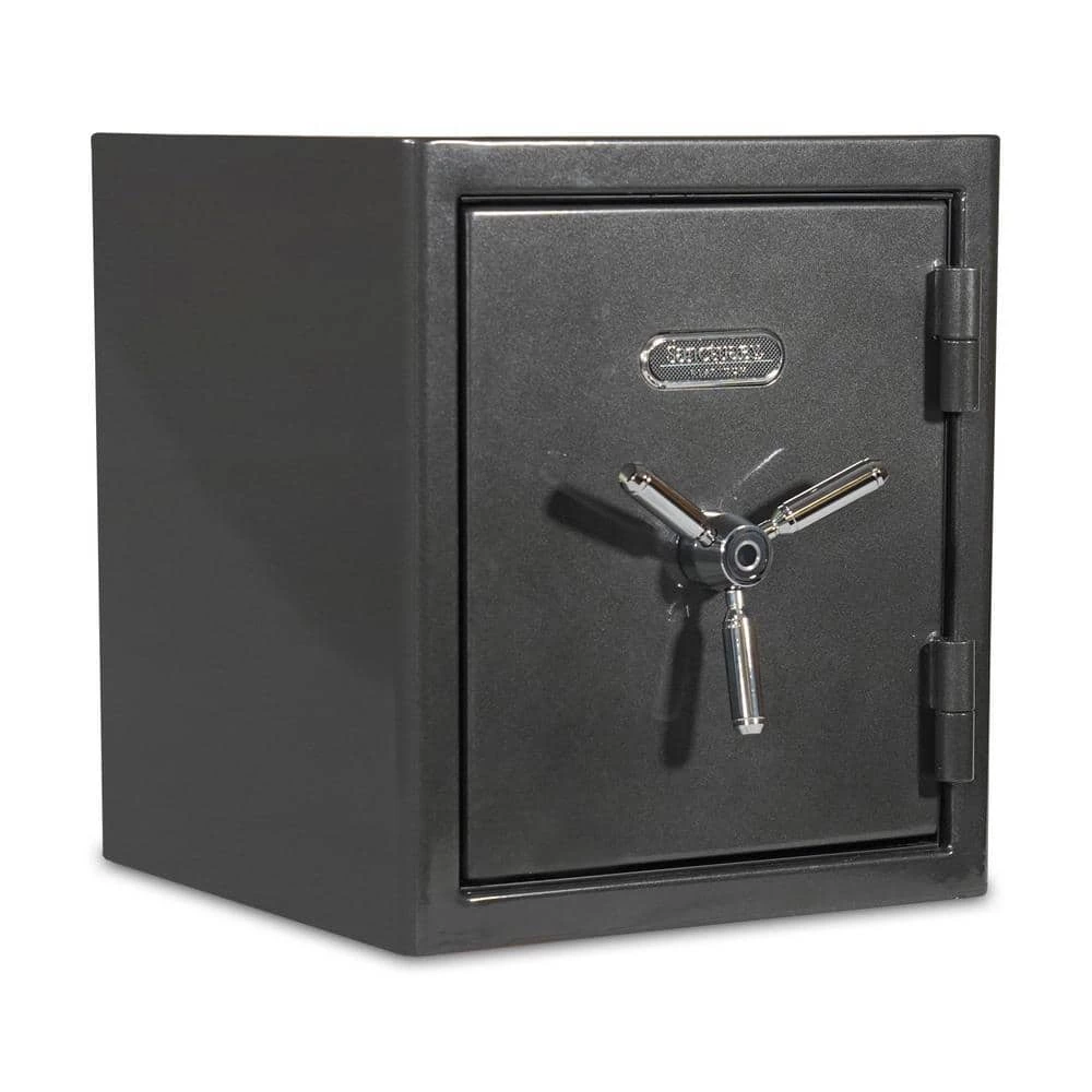 Platinum Medium Fireproof/Waterproof Home and Office Biometric Safe by SANCTUARY 3 Platinum Medium Fireproof/Waterproof Home and Office Biometric Safe by SANCTUARY
