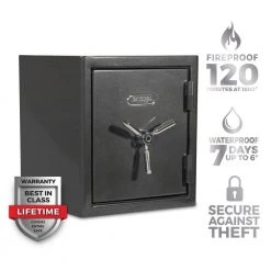 Platinum Medium Fireproof/Waterproof Home and Office Biometric Safe by SANCTUARY 13 Platinum Medium Fireproof/Waterproof Home and Office Biometric Safe by SANCTUARY -Toolocity Shop sanctuary home safes sa plat2 bio dp c3 1000
