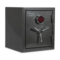 Platinum Medium Fireproof/Waterproof Home and Office Digital Lock Safe by SANCTUARY