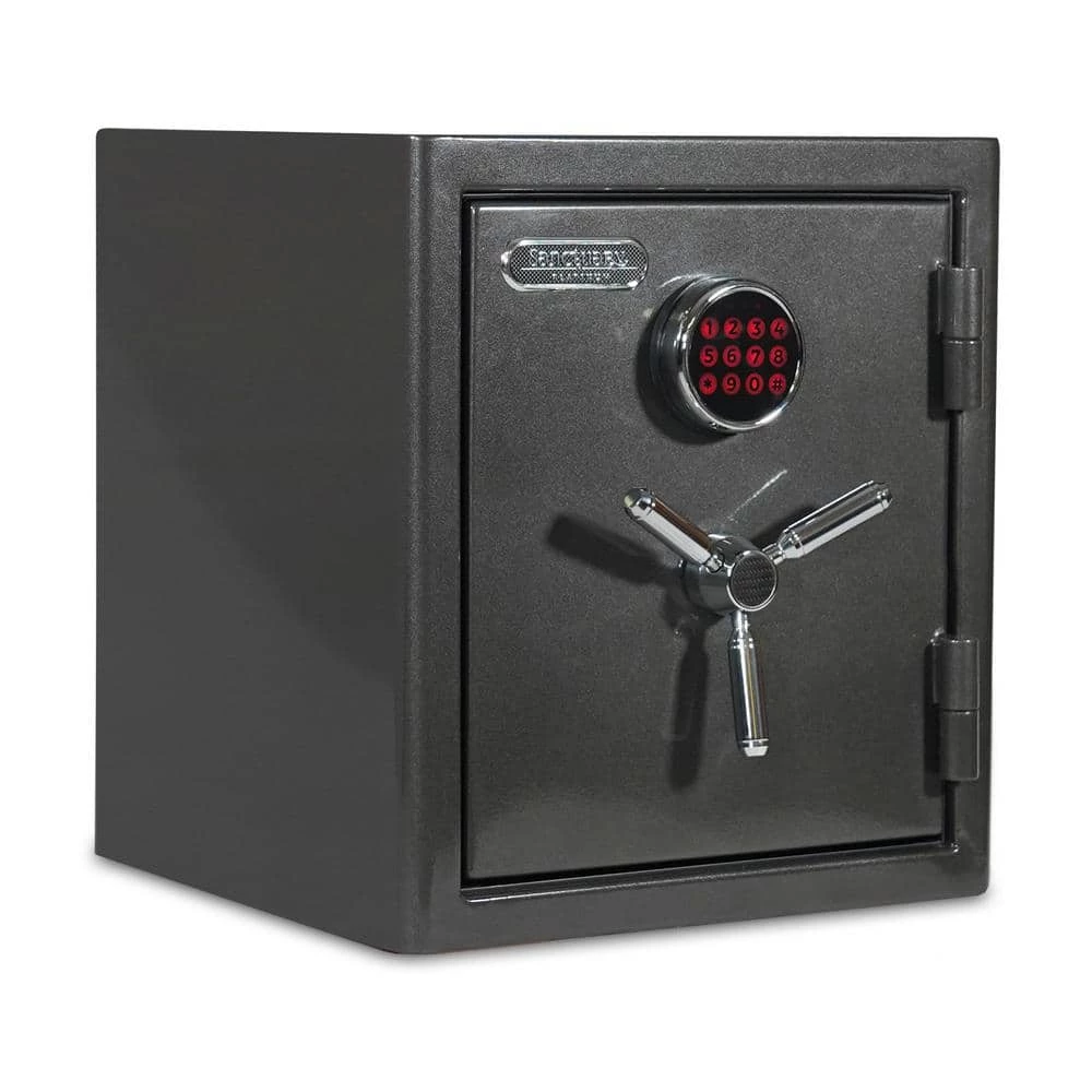 Platinum Medium Fireproof/Waterproof Home and Office Digital Lock Safe by SANCTUARY 3 Platinum Medium Fireproof/Waterproof Home and Office Digital Lock Safe by SANCTUARY