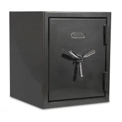 Platinum Large Fireproof/Waterproof Home and Office Biometric Safe by SANCTUARY