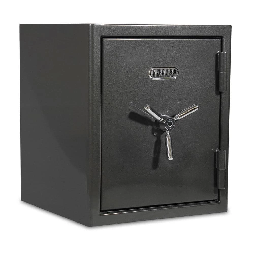Platinum Large Fireproof/Waterproof Home and Office Biometric Safe by SANCTUARY 3 Platinum Large Fireproof/Waterproof Home and Office Biometric Safe by SANCTUARY
