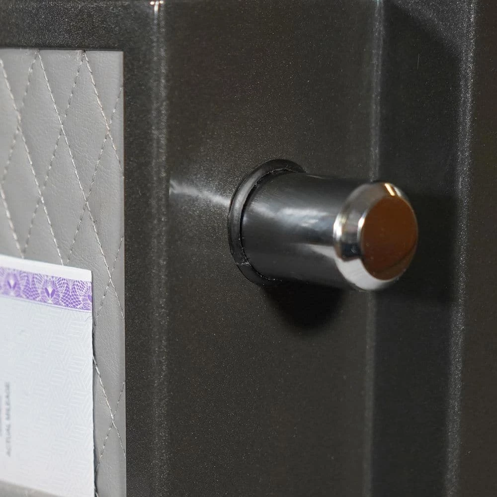 Platinum Large Fireproof/Waterproof Home and Office Biometric Safe by SANCTUARY 10 Platinum Large Fireproof/Waterproof Home and Office Biometric Safe by SANCTUARY - Image 8