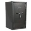 Platinum Extra Large Fireproof/Waterproof Home and Office Biometric Safe by SANCTUARY 1 Platinum Extra Large Fireproof/Waterproof Home and Office Biometric Safe by SANCTUARY -Toolocity Shop sanctuary home safes sa plat4 bio dp 64 1000